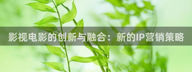 宅男视频在线观看.：影视电影的创新与融合：新的IP营销策略