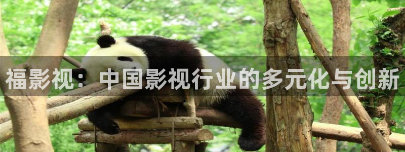 在线看宅男视频：福影视：中国影视行业的多元化与创新