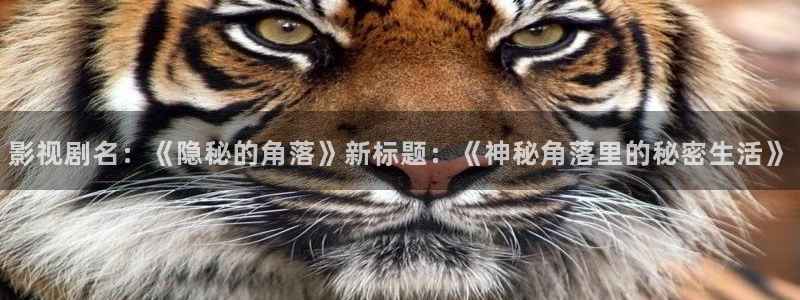 宅男视频官网下载：影视剧名：《隐秘的角落》新标题：《神秘角落里的秘密生活》