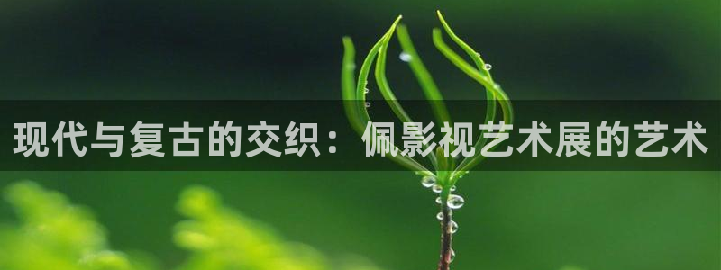 宅男宅男视频：现代与复古的交织：佩影视艺术展的艺术