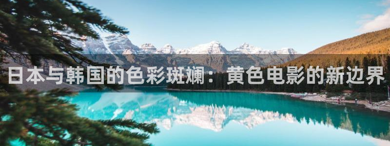 宅男视：日本与韩国的色彩斑斓：黄色电影的新边界