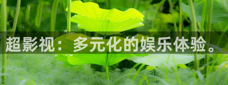 宅男视频播放：超影视：多元化的娱乐体验。