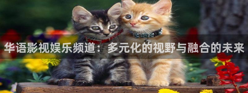 宅男视频深夜：华语影视娱乐频道：多元化的视野与融合的未来