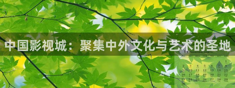 宅男视频色版：中国影视城：聚集中外文化与艺术的圣地