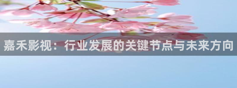 羞羞宅男视频：嘉禾影视：行业发展的关键节点与未来方向